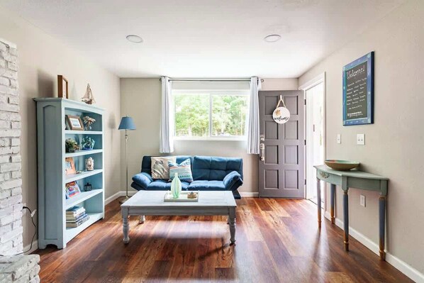 TV, fireplace, video games, books