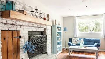 Télévision, cheminée, jeux vidéo, livres