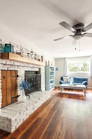 TV, fireplace, video games, books