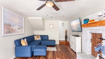TV, fireplace, video games, books