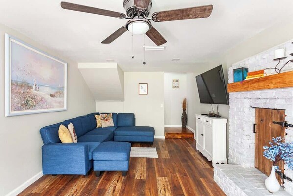 TV, fireplace, video games, books