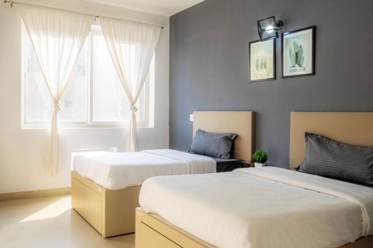 Une chambre d’hôtel avec deux lits, une fenêtre avec des rideaux, une table de chevet avec une plante et deux tableaux encadrés au mur.
