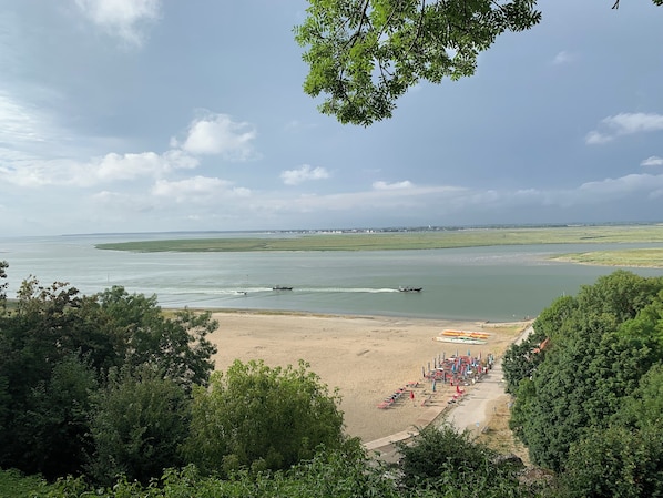 A beach with boats on the water, a sandy shore, and trees in the foreground.