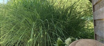 "Villa l'Amboise" charm and comfort**** in Baie de Somme for 10 people