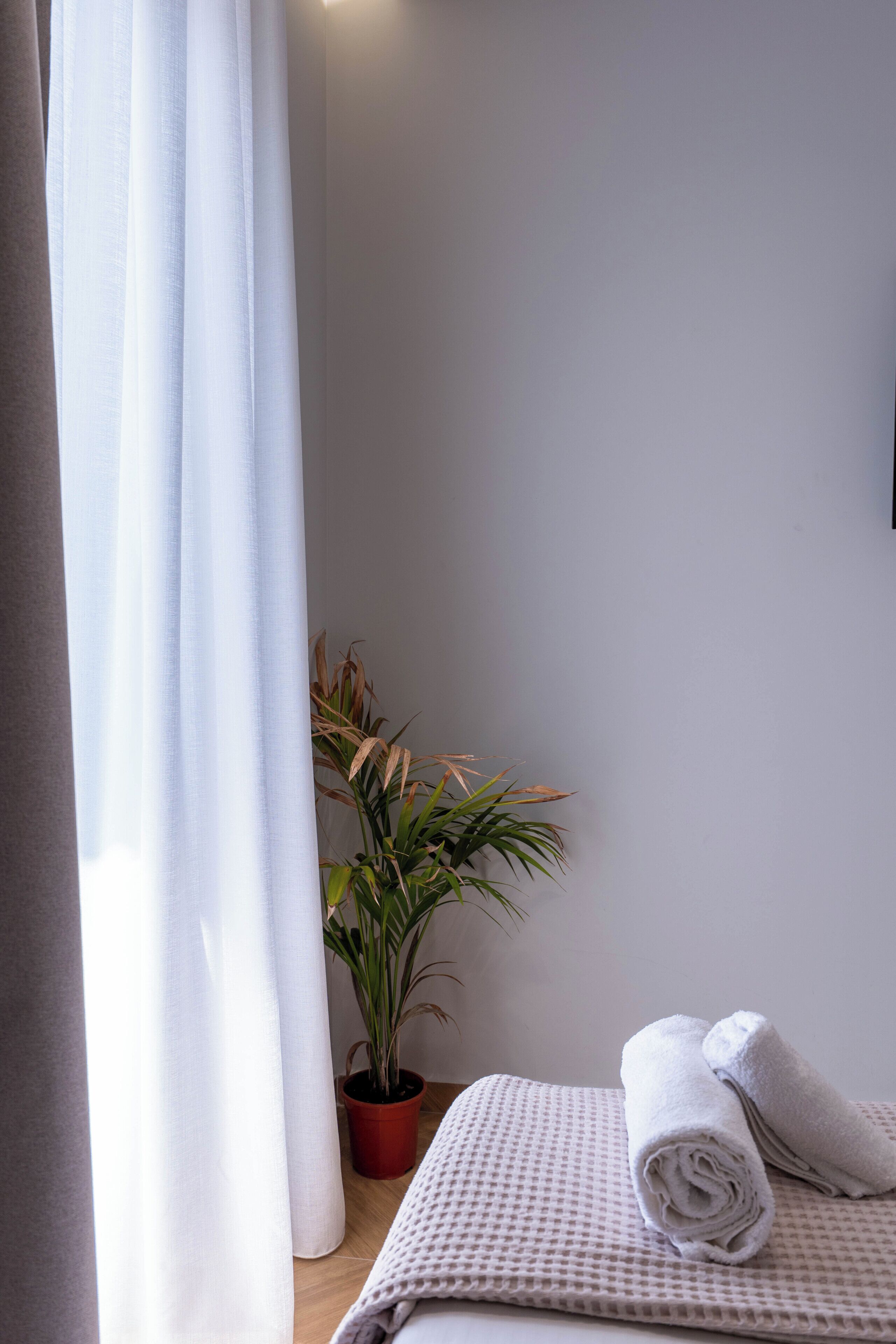 Ein Zimmer mit einem Bett, einer Zimmerpflanze und einem Fenster mit weißen Vorhängen.
