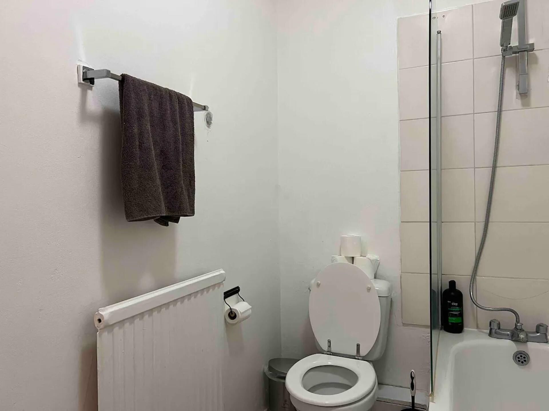 Une petite salle de bain comprenant des toilettes, un porte-serviettes, une douche et un radiateur.