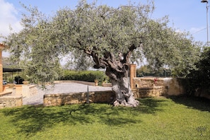 Casa, 1 camera da letto, fumatori, patio | Parco della struttura
