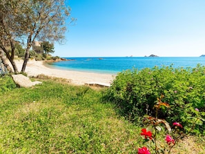 A beach with clear blue water, a sandy shore, and green vegetation.