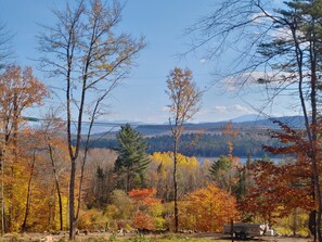 Une zone boisée offrant une vue dégagée sur un lac et des montagnes lointaines.