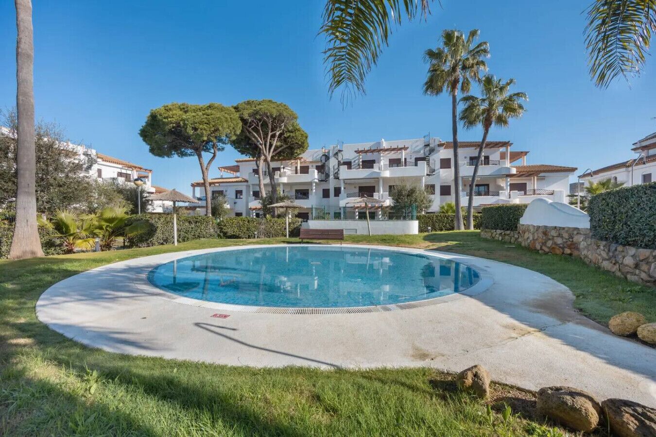 Une piscine entourée de pelouse, de palmiers et d’immeubles d’habitation.