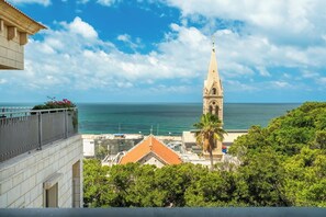 Vista del balcón