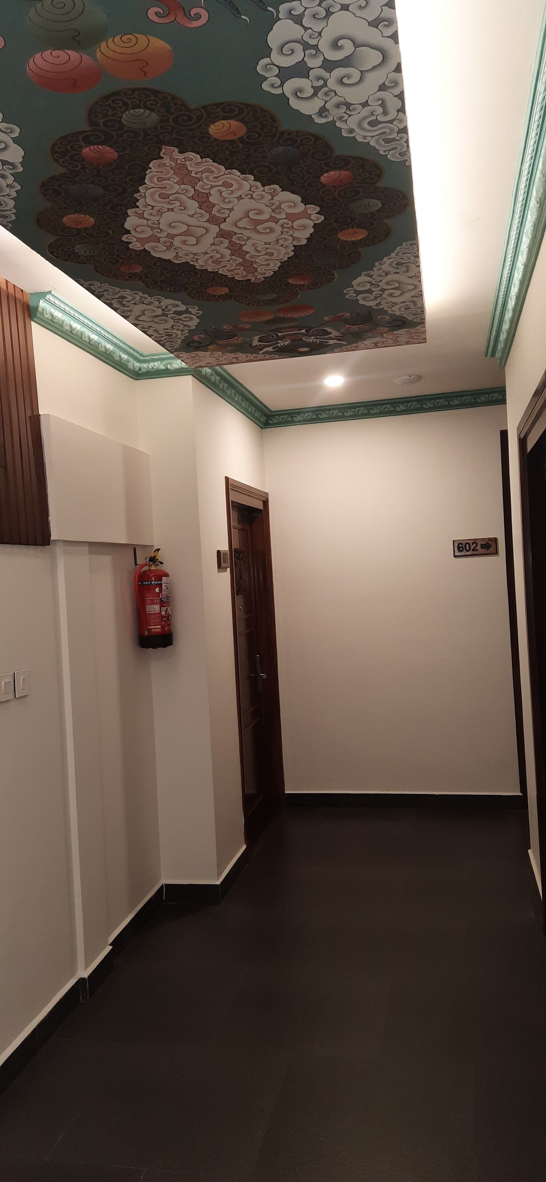 A hallway with a fire extinguisher mounted on the wall, a door with a number sign, and a ceiling with a floral pattern.