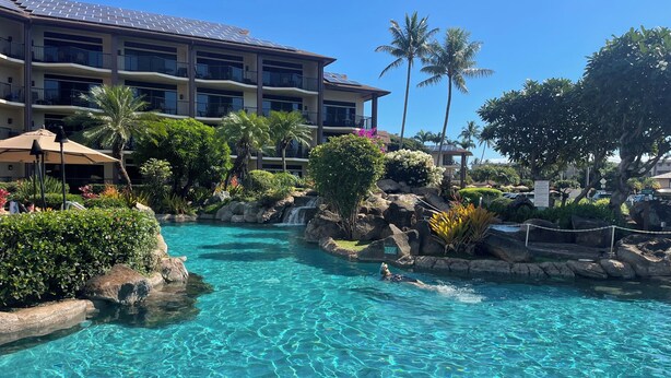 Une piscine d’hôtel avec une eau cristalline, entourée d’une végétation luxuriante et de palmiers.