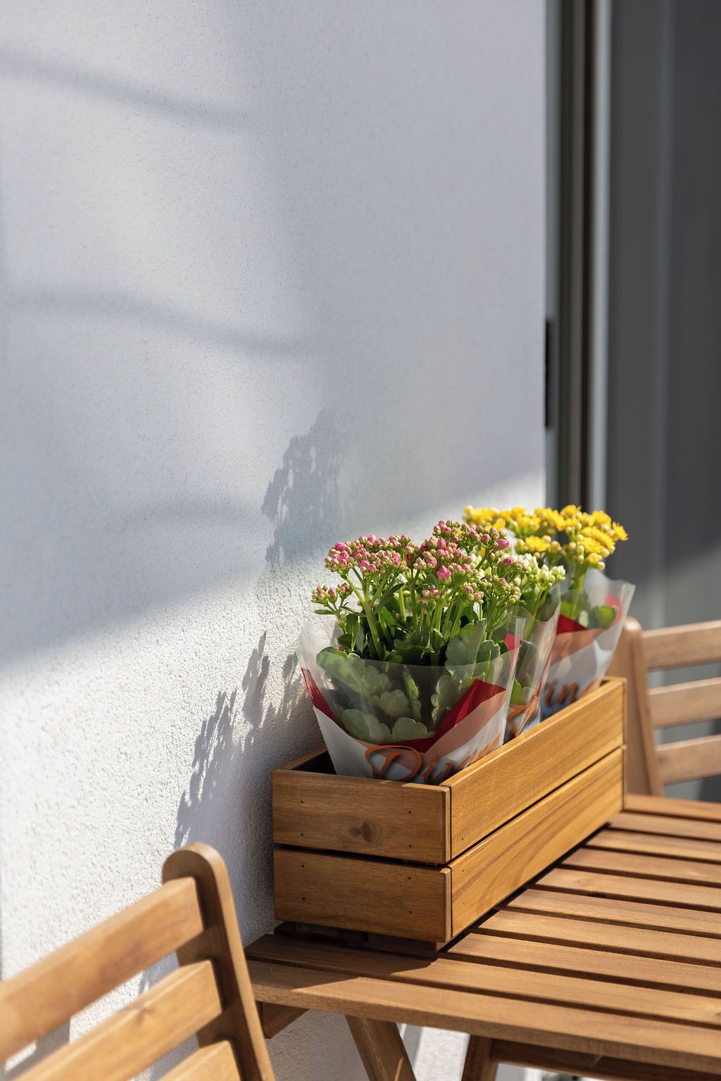 奢華公寓, 公園景 | 陽台