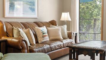 Télévision, cheminée, jeux vidéo, lecteur de DVD