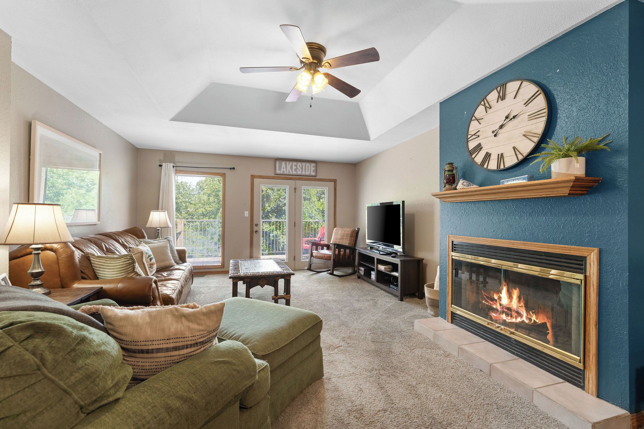 Télévision, cheminée, jeux vidéo, lecteur de DVD