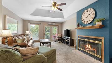 Télévision, cheminée, jeux vidéo, lecteur de DVD