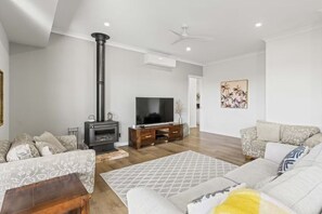 Smart TV, chimenea y libros 