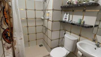 Regadera, bidet, toallas, jabón