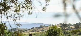 AGRITURISMO LE CHIUSE