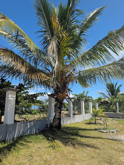Entire house facing the sea. Quiet, peaceful, secure, air-conditioned, integrated wifi
