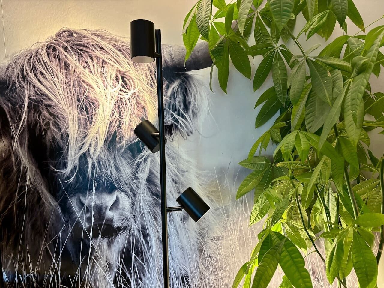En væg med et stort, realistisk murmaleri af en løve, en sort gulvlampe og grønne planter.
