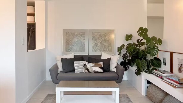 Un salon moderne avec un canapé gris, une table basse blanche et une grande plante verte.