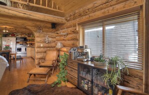Fridge, microwave, oven, dishwasher - Couple's Getaway | Mountain Views | OHV's Welcome | Pet-Friendly (Creede)