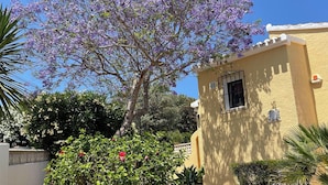 Ein Gebäude mit gelber Fassade, einer Steinwand und einem Garten mit verschiedenen Pflanzen sowie einem Baum mit violetten Blüten.