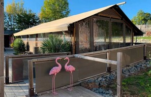 A wooden deck with a glass enclosure, two pink flamingos, and a covered area with a beige canopy. - ZEcamping 3* piscine chauffée hammam sauna locatif TV 47m2 6 pers (Verruyes)