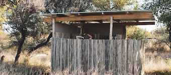 The Leadwood Safari Camp
