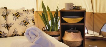 The Leadwood Safari Camp