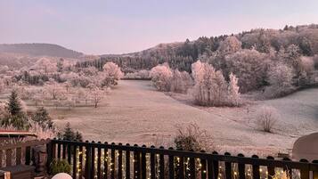 Àrea exterior de l'allotjament