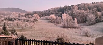 Premium Suite - Forest view - Balcony - Black Forest