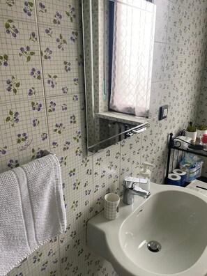Ducha, secador de pelo, bidet, toallas