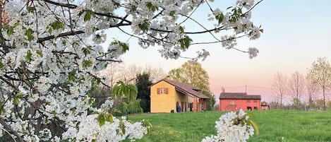 Boendeområde