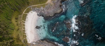 Shellharbour Poolside Escape