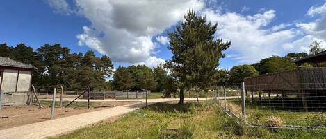 Terrein van de accommodatie