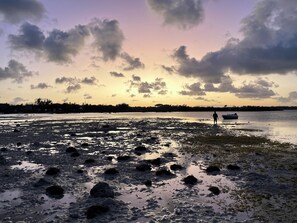 Beach - Villamarday - a tropical paradise close to the beach (Grand Baie)