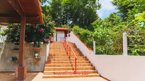 Un escalier menant à une porte, entouré de verdure et bordé d’un mur blanc.