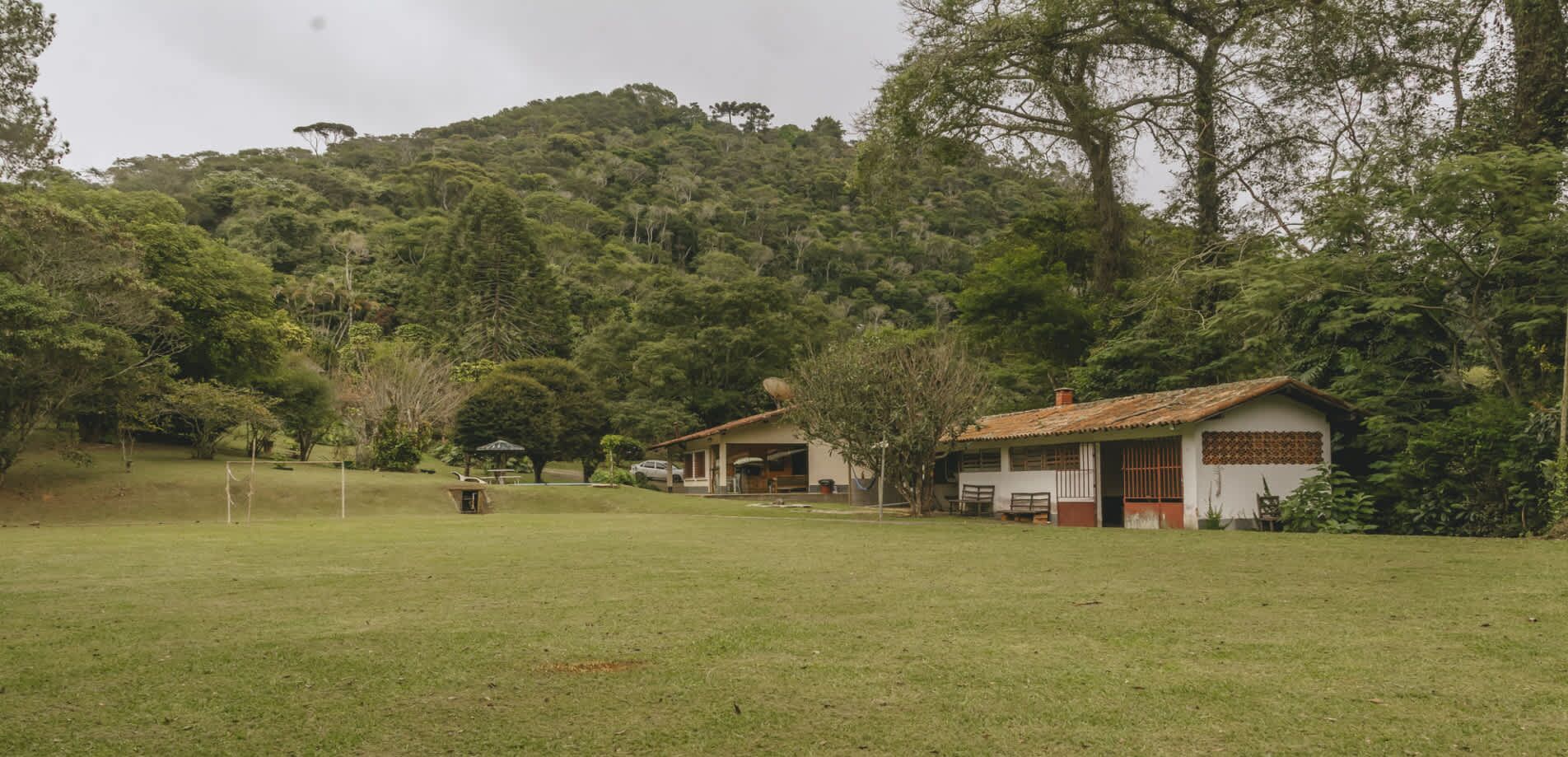 Un paysage rural avec un champ d’herbe, un petit bâtiment doté d’un toit rouge et une forêt dense en arrière-plan.