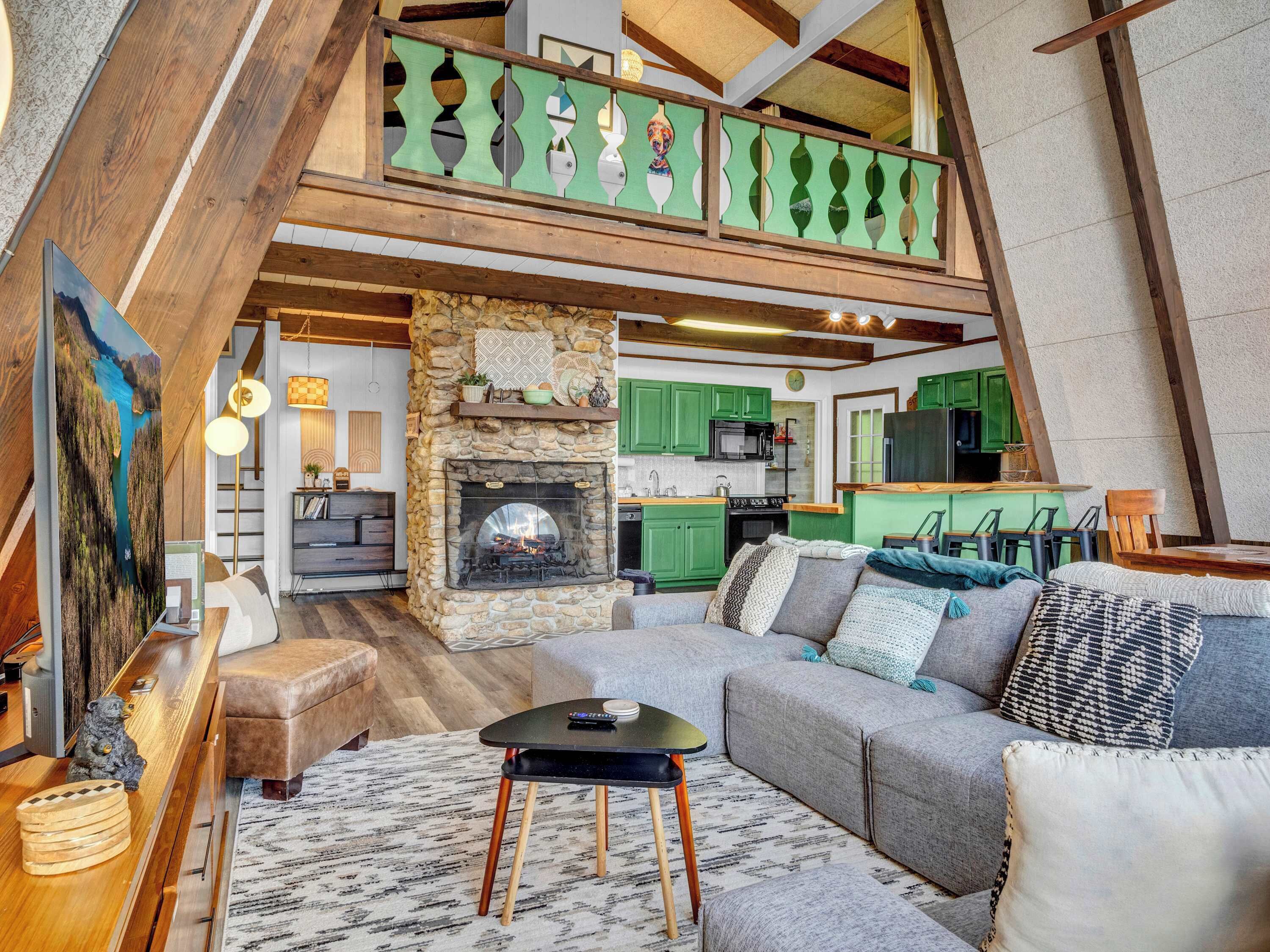 TV, fireplace, video games, books