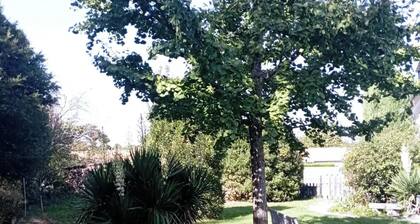 Maison de maĂźtre face au vignes et au calme