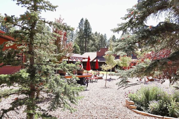 Restauration en plein air