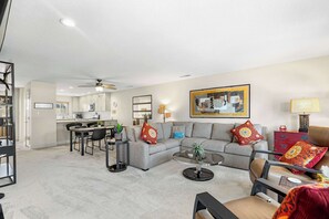 Télévision, cheminée, lecteur de DVD