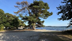 Une plage avec un grand arbre, un ciel dégagé et une mer calme.