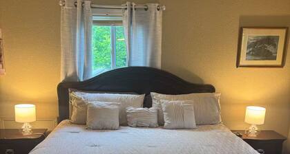 Cozy studio with AC, WiFi in lovely Sevierville