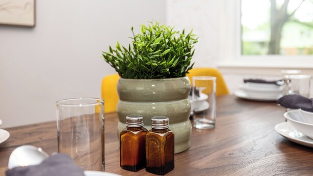 A dining table with a green plant in a ceramic pot, two small glass bottles, and a glass of water.