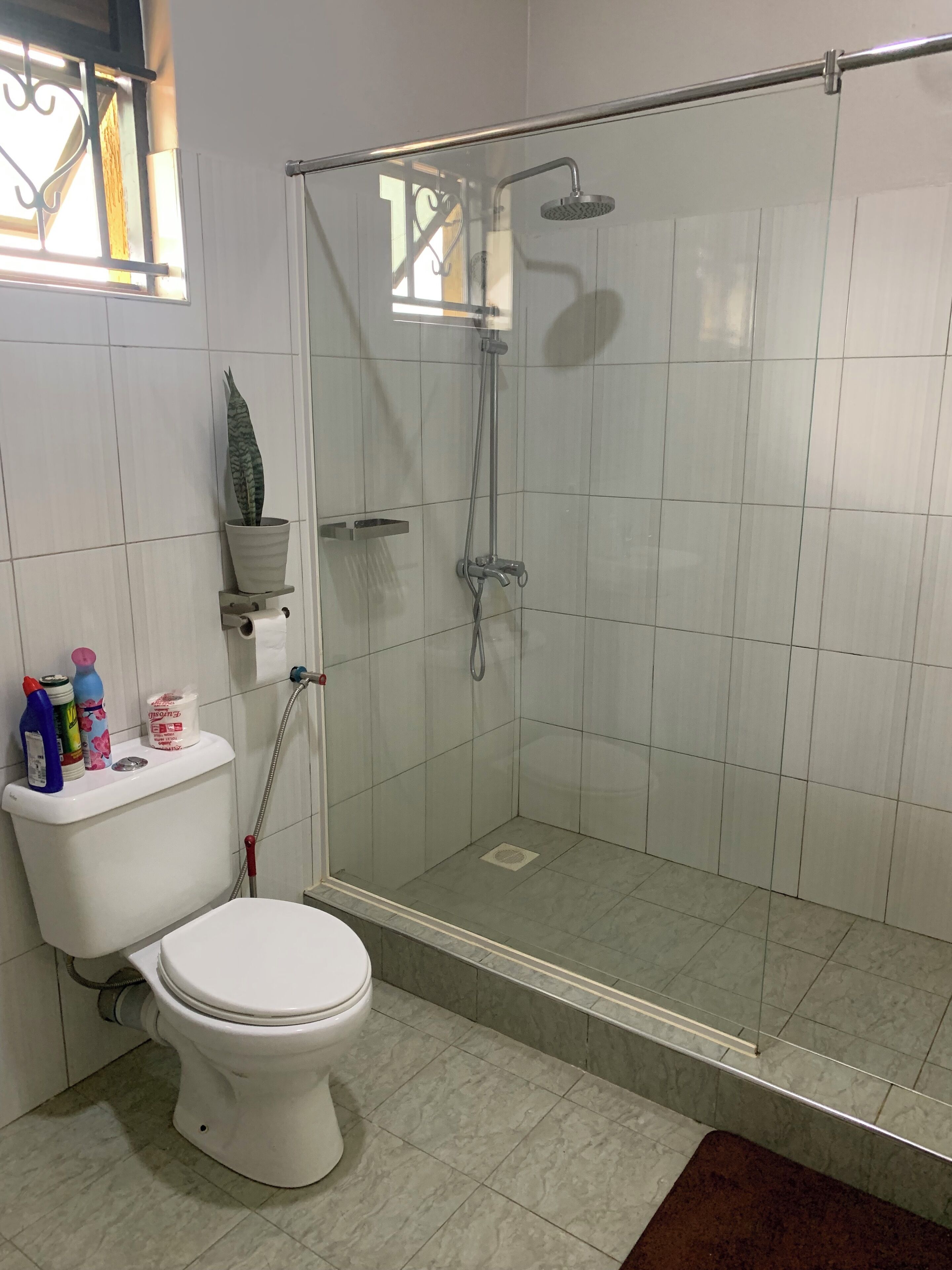 Een badkamer met toilet, een douche met glazen deur en een potplant aan de muur.