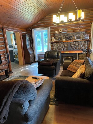 TV, fireplace, video games, books